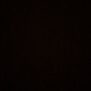 Meet your Posher, Rayleen